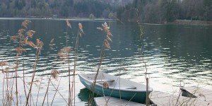 Beitragsbild des Blogbeitrags Ausflug zur Insel am See in Bled 