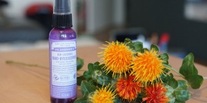 Beitragsbild des Blogbeitrags Biovera Friends Club Naturkosmetik Neuheiten