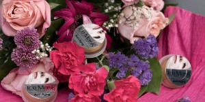 Beitragsbild des Blogbeitrags Meine Top 5 Beauty Favoriten im Sommer