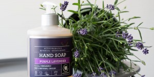 Beitragsbild des Blogbeitrags Urtekram Purple Lavender Bio Kosmetik Pflegelinie 