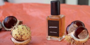 Beitragsbild des Blogbeitrags Meine Top 5 Beauty Favoriten im Herbst