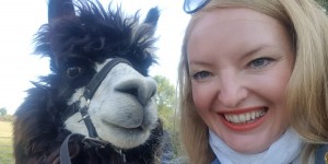 Beitragsbild des Blogbeitrags Alpaka Wanderung und Draisinenfahrt im Weinviertel