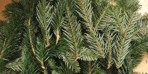 Beitragsbild des Blogbeitrags Adventkalender Gewinnspiele 2019