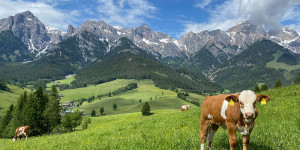 Beitragsbild des Blogbeitrags 5 Ausflugstipps für Familien in Maria Alm