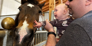 Beitragsbild des Blogbeitrags Familotel Landgut Furtherwirt in Kirchdorf Tirol