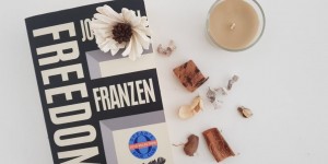 Beitragsbild des Blogbeitrags Rezension – Freedom von Jonathan Franzen