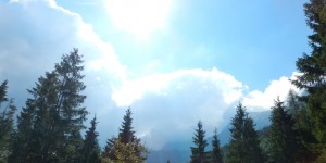 Beitragsbild des Blogbeitrags Wanderung vom Offensee zum Almsee