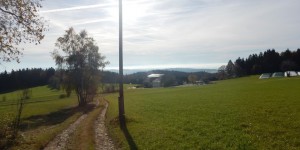 Beitragsbild des Blogbeitrags Wanderung auf dem Adalbert Stifter Panoramaweg 