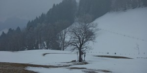 Beitragsbild des Blogbeitrags Schneeschuhwanderung am Glasenberg 