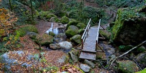 Beitragsbild des Blogbeitrags kleiner Sonntagsausflug in die Wolfsschlucht