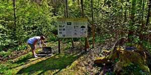 Beitragsbild des Blogbeitrags Osterspaziergang in Wels und Umgebung,