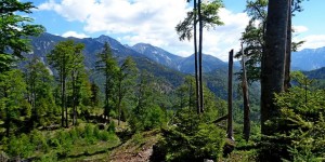 Beitragsbild des Blogbeitrags Bergtour zum Eibenberg 