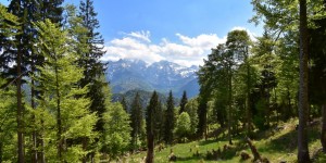 Beitragsbild des Blogbeitrags mit Freunden und Babyelefanten zur Steyrer Hütte