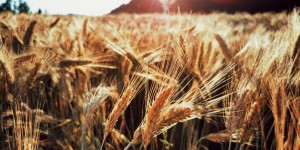 Beitragsbild des Blogbeitrags 11 neue Gewohnheiten, die dein Leben verbessern