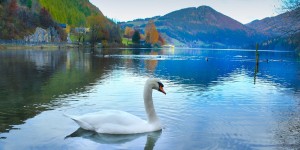 Beitragsbild des Blogbeitrags Reisefoto der Woche: Herbststimmung in Lunz am See 