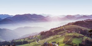 Beitragsbild des Blogbeitrags Niederösterreich: Die Moststraße – Oder auch: Alles Birne! 