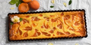 Beitragsbild des Blogbeitrags Marillen-Ricotta-Tarte & 5 weitere süße Marillen-Rezepte 