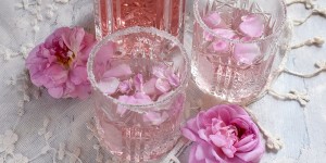 Beitragsbild des Blogbeitrags Hauptsache Pink: Pink Rosé-Gin mit frischen Rosenblüten 