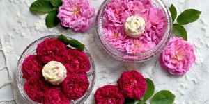 Beitragsbild des Blogbeitrags Köstliches aus der Rosenküche: 10+3 Rezepte mit Rosenblüten