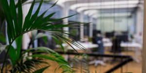 Beitragsbild des Blogbeitrags Managed Work Place – Präsentation beim Styrian Markeplace