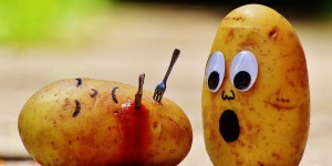 Beitragsbild des Blogbeitrags Tragischer Unfall am Eingang zur Hauptuni