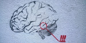 Beitragsbild des Blogbeitrags Neuro-Learning? Vergiss es! #hrmmythbusters 