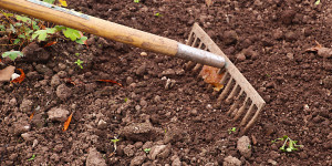 Beitragsbild des Blogbeitrags So läuft es in meinem Knowledge Garden