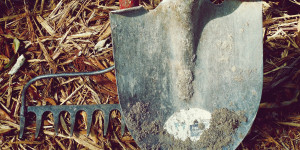 Beitragsbild des Blogbeitrags #MeinZiel22 – Ein Jahr Knowledge Gardening