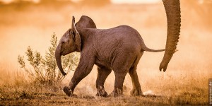 Beitragsbild des Blogbeitrags story telling – Warum gerade Afrika?