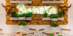 Beitragsbild des Blogbeitrags where to go – Bionista, Wien