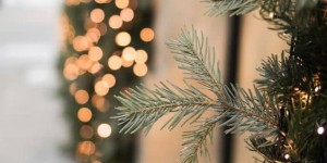 Beitragsbild des Blogbeitrags blow a dandelion – Nataschas Weihnachtswunschliste 2019 