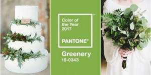 Beitragsbild des Blogbeitrags Grün ist die Pantone-Farbe des Jahres 2017 