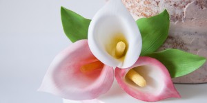 Beitragsbild des Blogbeitrags Nachhaltig heiraten – Teil 3: Die nachhaltige Torte