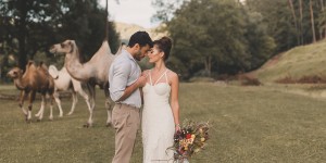 Beitragsbild des Blogbeitrags Styled Shoot: Kamel-Liebe 