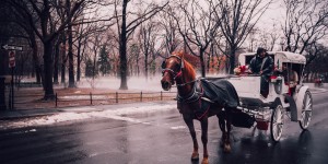Beitragsbild des Blogbeitrags Besonderheiten einer Winterhochzeit, Teil 1