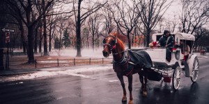 Beitragsbild des Blogbeitrags Besonderheiten einer Winterhochzeit, Teil 1 