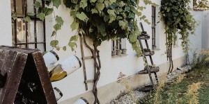 Beitragsbild des Blogbeitrags #girlsonly: Weinviertel DAC Bootcamp