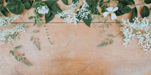 Beitragsbild des Blogbeitrags Sunday Talk #1: Neid und Missgunst in der Social Media Welt