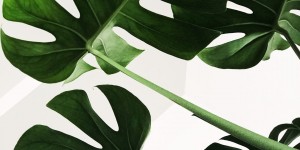 Beitragsbild des Blogbeitrags Pille absetzen: Eure Erfahrungsberichte