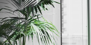 Beitragsbild des Blogbeitrags Pinterest Tipp: So erstellst du strategische Pinnwände