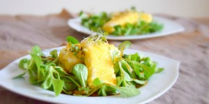 Beitragsbild des Blogbeitrags Feta in knuspriger Polentakruste auf Balsamico-Vogerlsalat