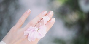 Beitragsbild des Blogbeitrags Meine liebsten Blumen und Blüten in der Hautpflege 