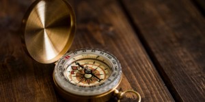 Beitragsbild des Blogbeitrags Schau tiefer – welche Werte und vertreten und leben wir?