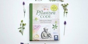 Beitragsbild des Blogbeitrags (Werbung) Buchrezension: „Der Pflanzencode“ von Ingrid Kleindienst-John 