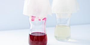 Beitragsbild des Blogbeitrags Basiswissen: Glycerit – Pflanzenwirkstoffe in Glycerin ausziehen 