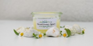 Beitragsbild des Blogbeitrags Gänseblümchen-Balsam ganz einfach selbermachen