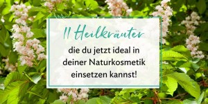 Beitragsbild des Blogbeitrags 11 Heilkräuter, die du jetzt für deine Naturkosmetik verwenden kannst!