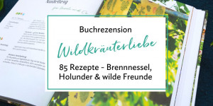 Beitragsbild des Blogbeitrags (Werbung) Buchrezension: „Wildkräuterliebe“ von Nicole Maurer 