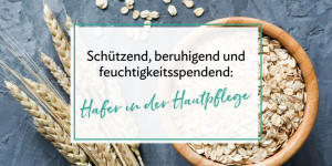 Beitragsbild des Blogbeitrags Hafer in der Hautpflege: Schützend, beruhigend und feuchtigkeitsspendend 