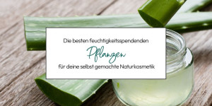 Beitragsbild des Blogbeitrags Feuchtigkeitsspendende Pflanzen für deine selbst gemachte Naturkosmetik